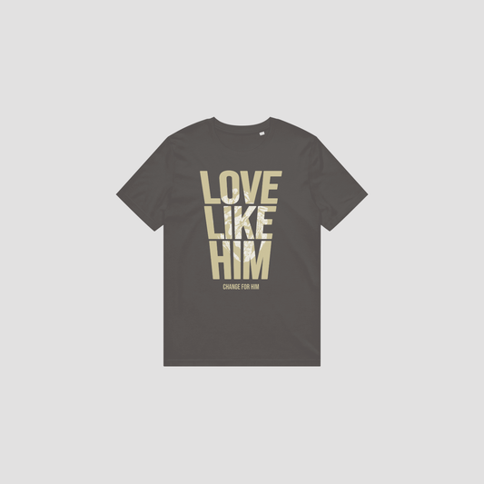 LOVE LIKE HIM TEE - EARTH
